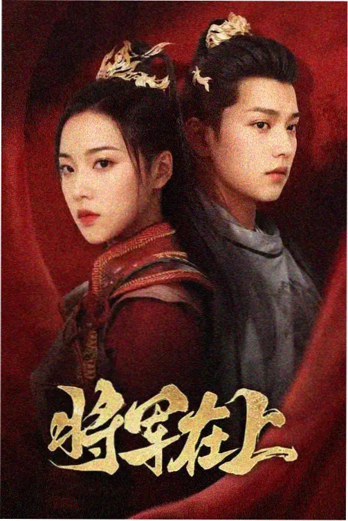 完美搭档热度分析配图